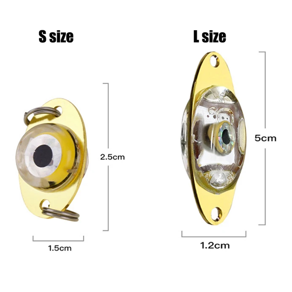 프로 BEROS LED 낚시 딥 드롭 낚시 조명, LE - Fishing Equipment Bait 리뷰 및 가격