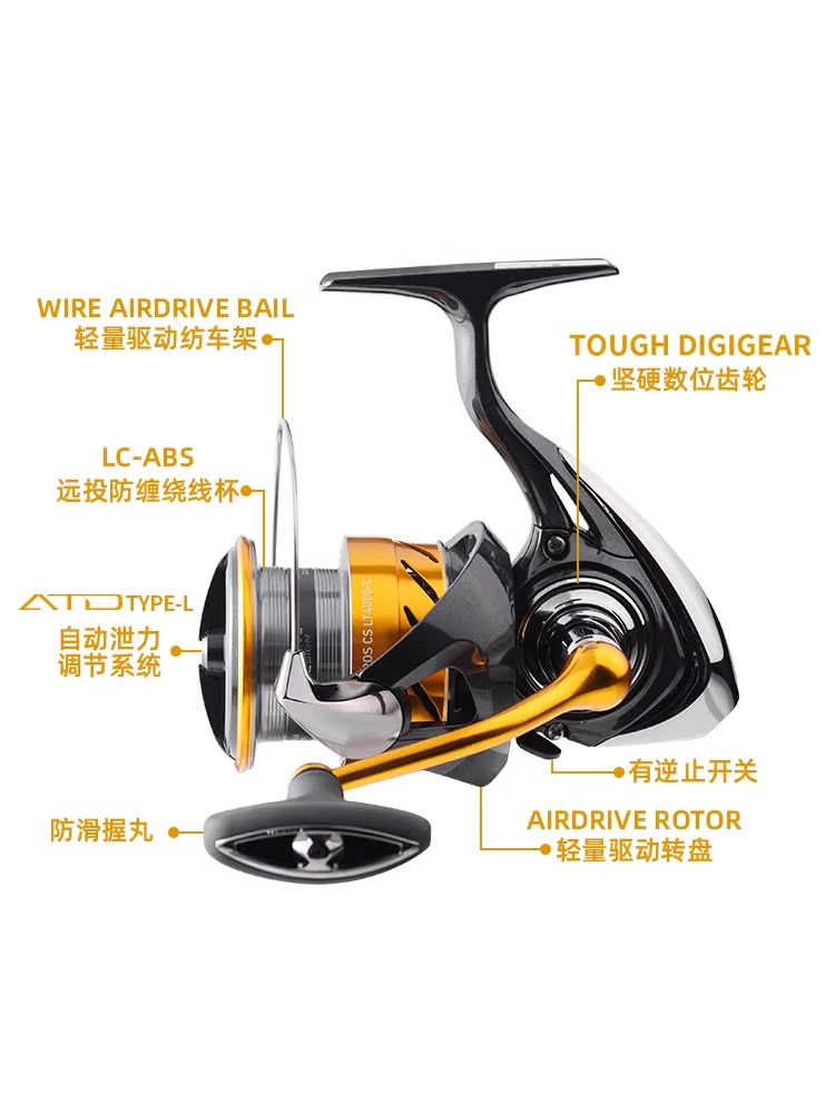 DAIWA REVROS CS LT 스피닝 낚시 릴, 베 - Fishing Equipment Daiwa 리뷰 및 가격